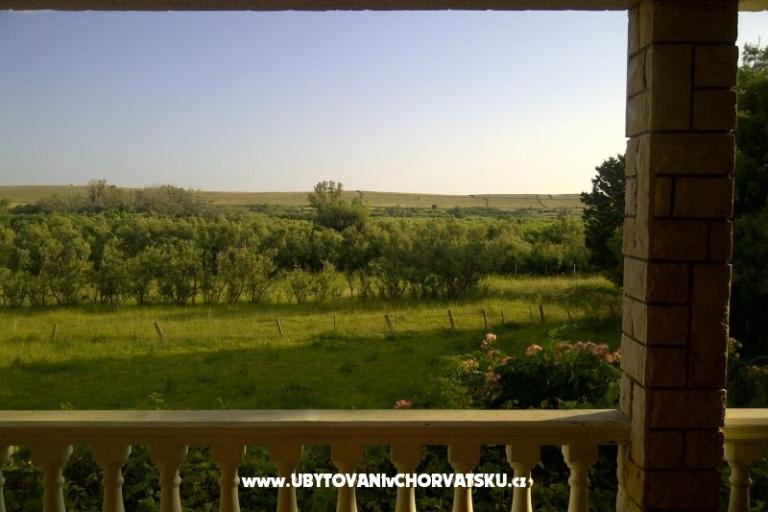 Apartments Ćurić Povljana – photo 3