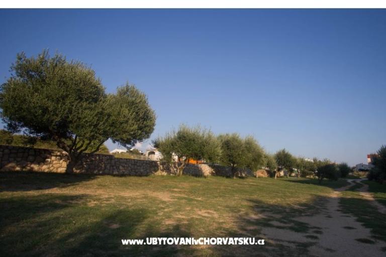 Apartments Dobre – photo 13