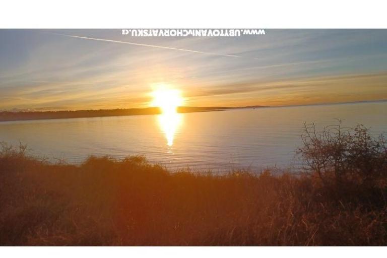 Apartments Dobre – photo 14