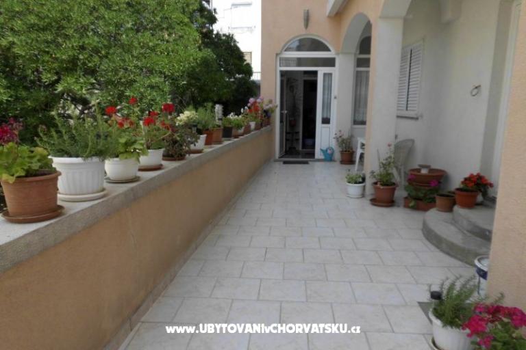 Apartments Golija  – photo 2