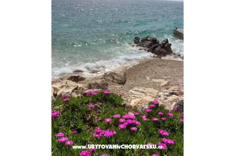 Apartments Marijana Mandre – photo 17