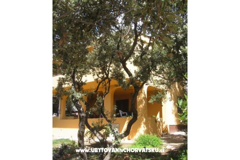 Apartments Marijana Mandre – photo 3