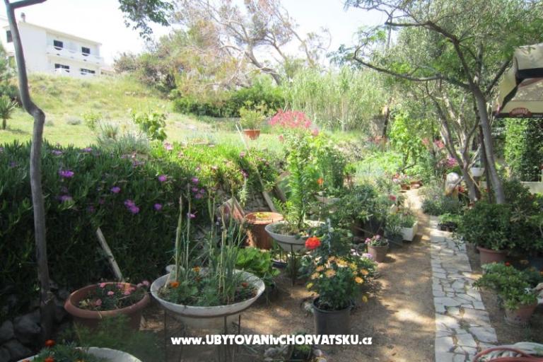 Apartments Mediteran Pag – photo 10