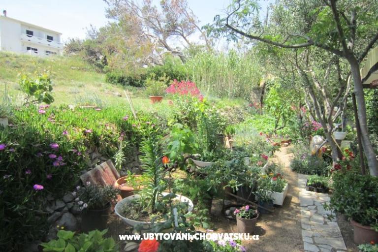 Apartments Mediteran Pag – photo 11