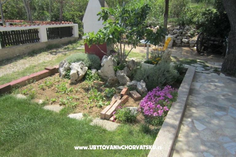 Apartments Mediteran Pag – photo 7