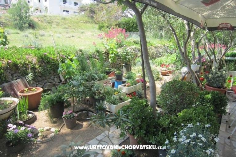 Apartments Mediteran Pag – photo 8