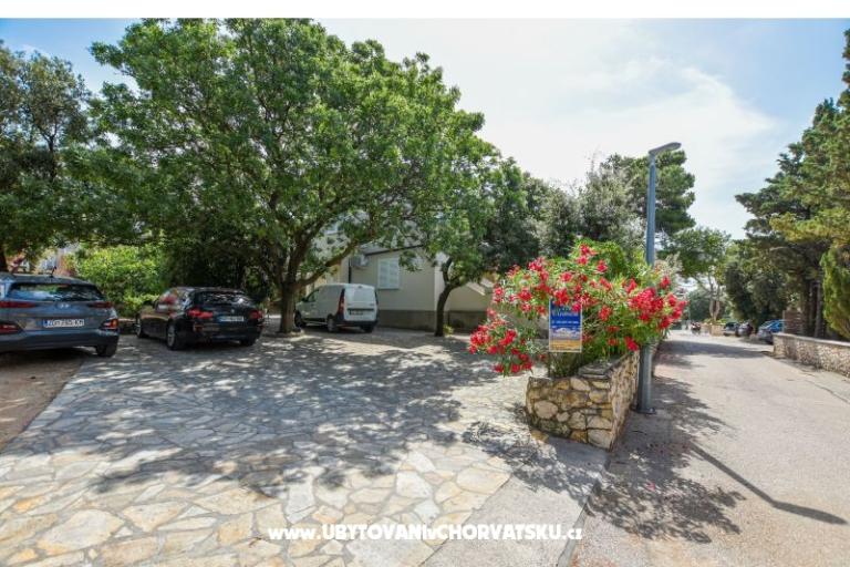 Apartments Oleandra – photo 7