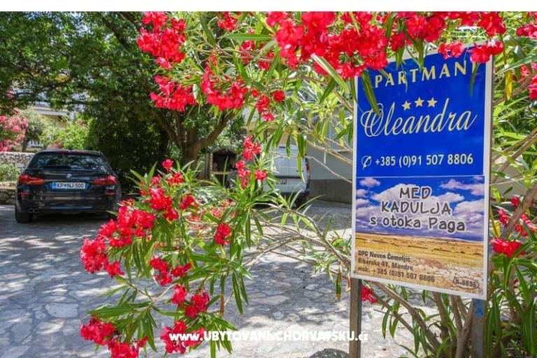 Apartments Oleandra – photo 9