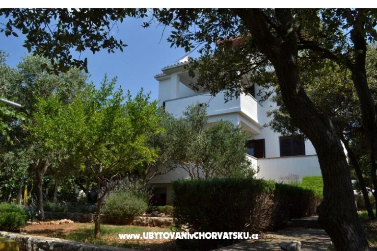Apartments Salvia island Pag Mandre – photo 14