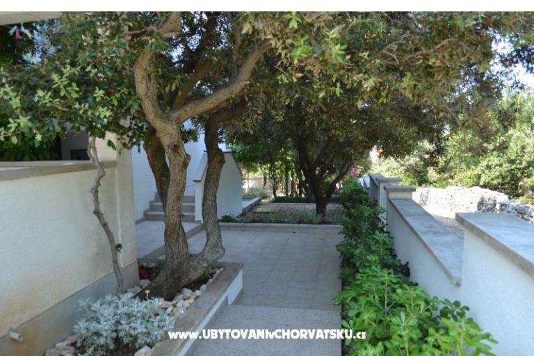 Apartments Salvia island Pag Mandre – photo 17
