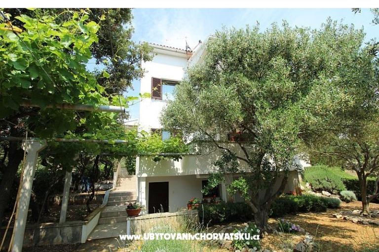 Apartments Salvia island Pag Mandre – photo 4