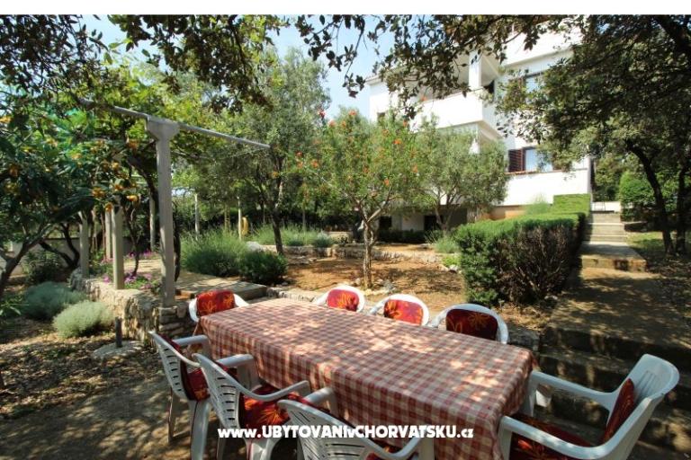 Apartments Salvia island Pag Mandre – photo 6