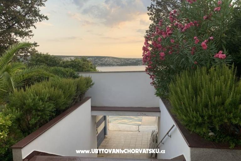 Apartments Tihana – photo 8