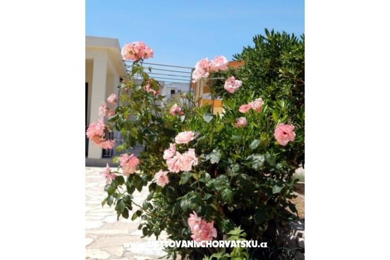 Apartments Valentić – photo 9