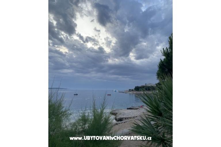 Apartments Mandre – photo 5