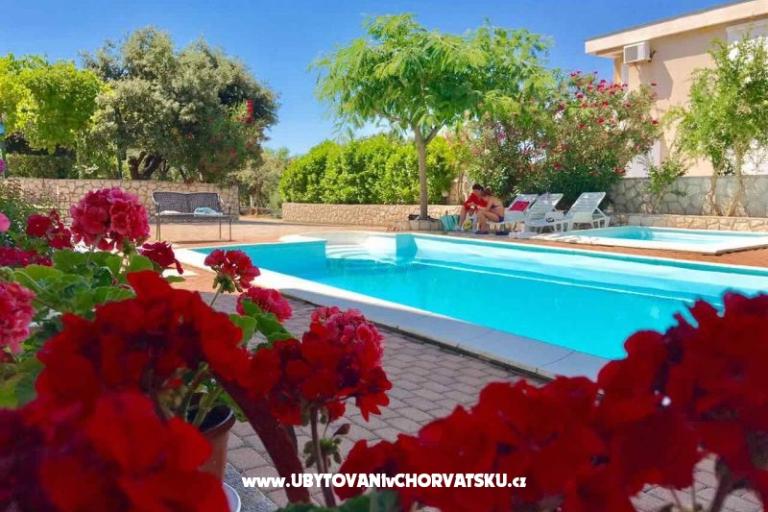 Apartments Villa Ana – photo 2