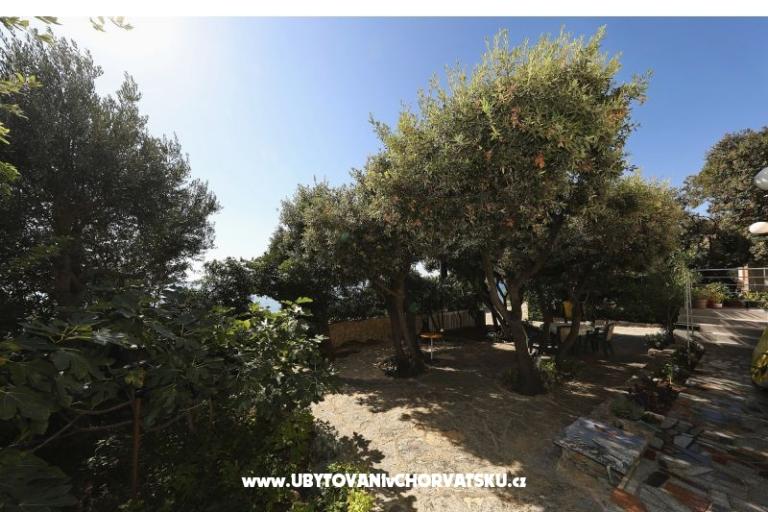 Horizonte Apartment – photo 20