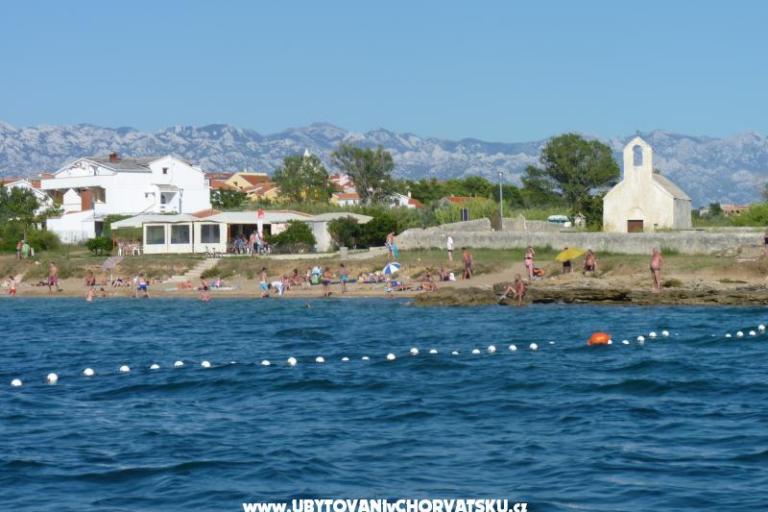  Sirena – photo 11