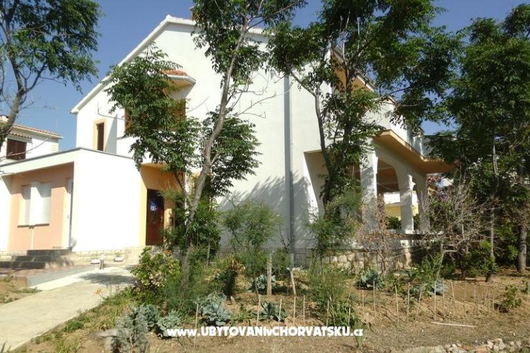 Villa Jelena – photo 10