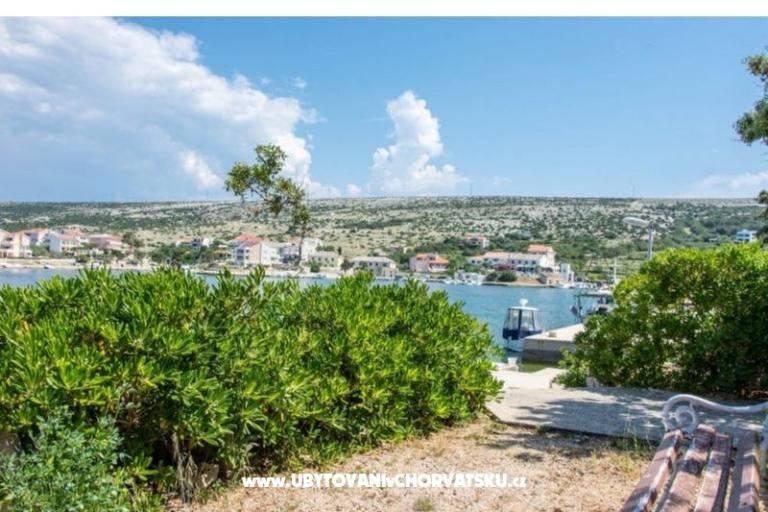 Villa Tija Simuni – photo 4