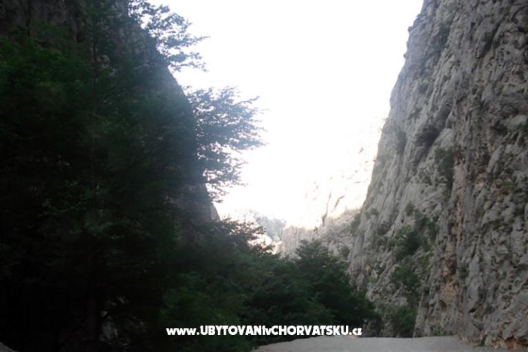 Apartments vesela – photo 5