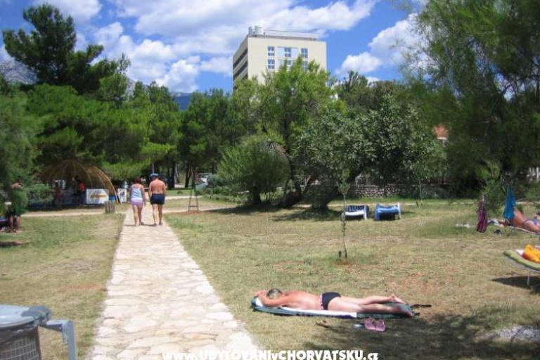 Apartment Malnar – photo 3
