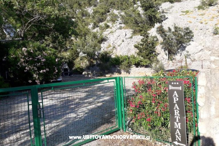 Vacation house Beli – photo 15