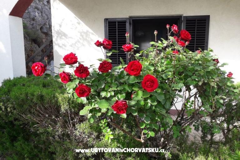 Vacation house Beli – photo 6