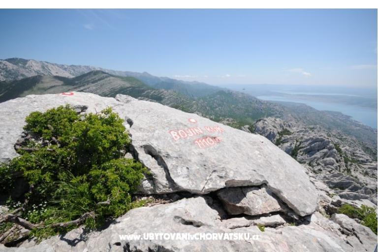 Pension Ivan – photo 15