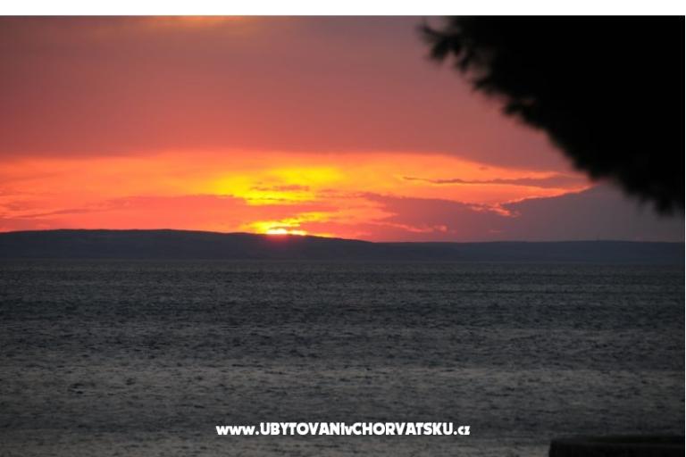 Pension Ivan – photo 16