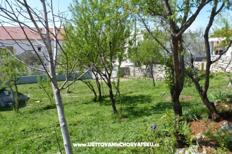 Pension Ivan – photo 6