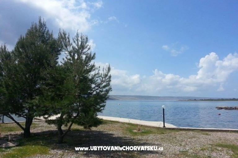 Pension Marko – photo 7