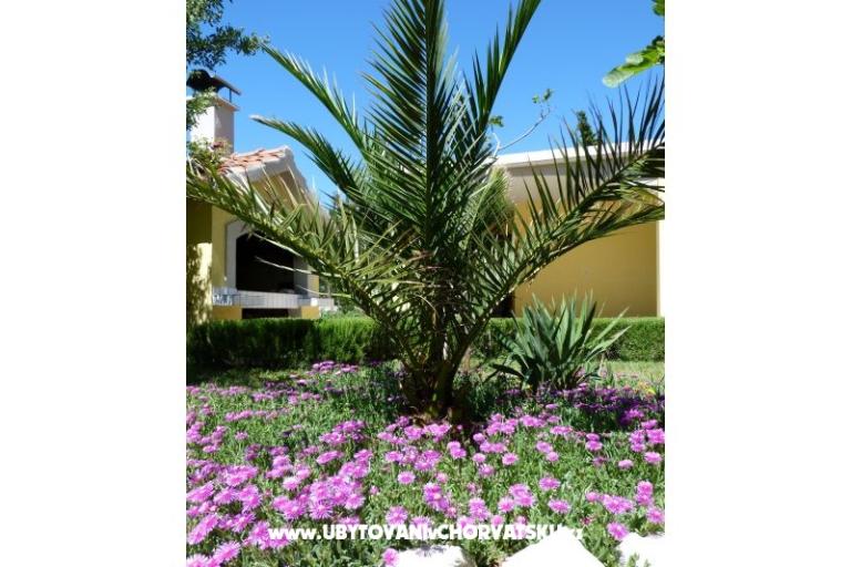 Vila Ana – photo 14