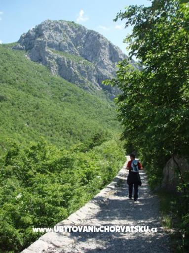 Villa Mirta – photo 13