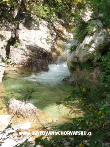 Villa Mirta – photo 14