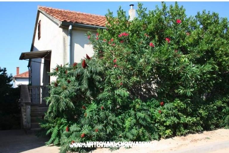 Apartment Marko – photo 4