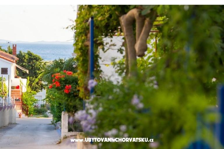 Apartments Ino – photo 16