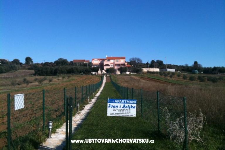 Apartments Ivan i Zeljka Pakostane – photo 3