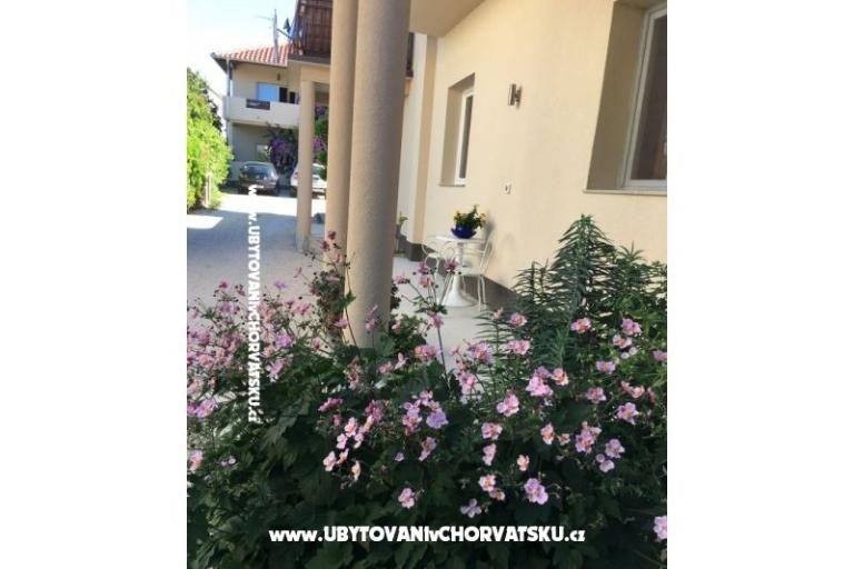 Apartments Jasa  – photo 17