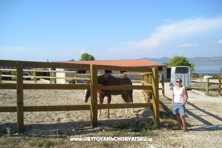 Apartments Mario – photo 18