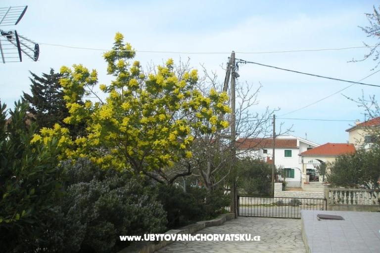 Apartments Mario – photo 5