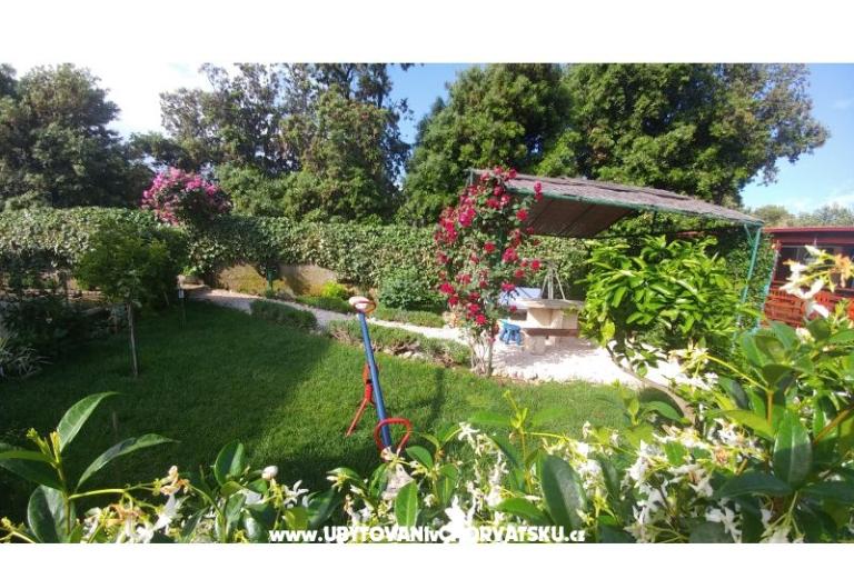 Apartments Pipi – photo 8