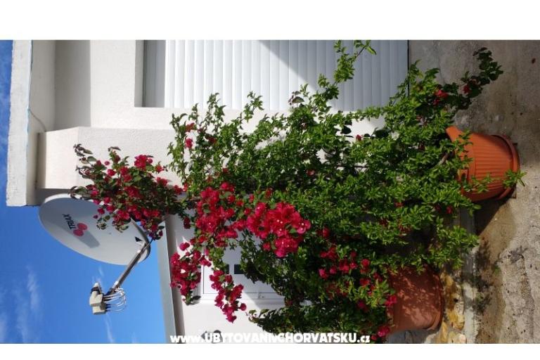 Apartments Pipi – photo 12