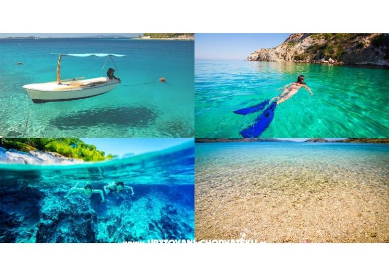 Apartments in Villa – photo 6