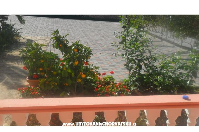 Apartments Leo – photo 24