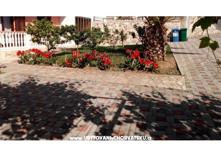Apartments Leo – photo 4