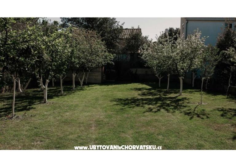 Apartments Ivišić – photo 5