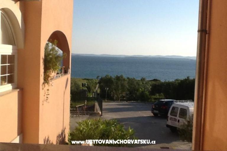 Ivan  – photo 9