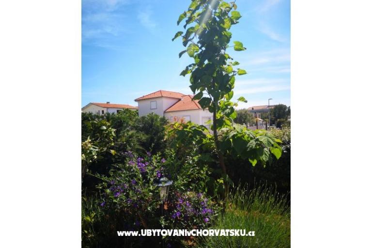 Villa Hana  – photo 17