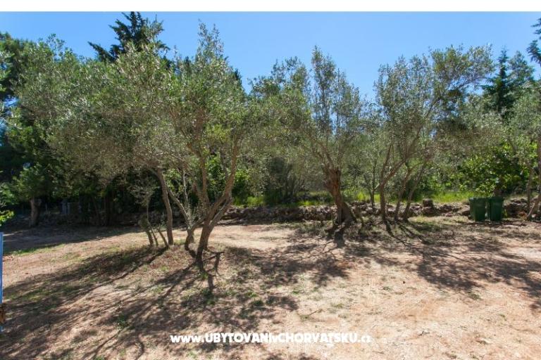 Apartments Maris – photo 12